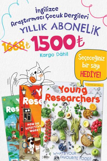 Örnek Abonelik Ürünü